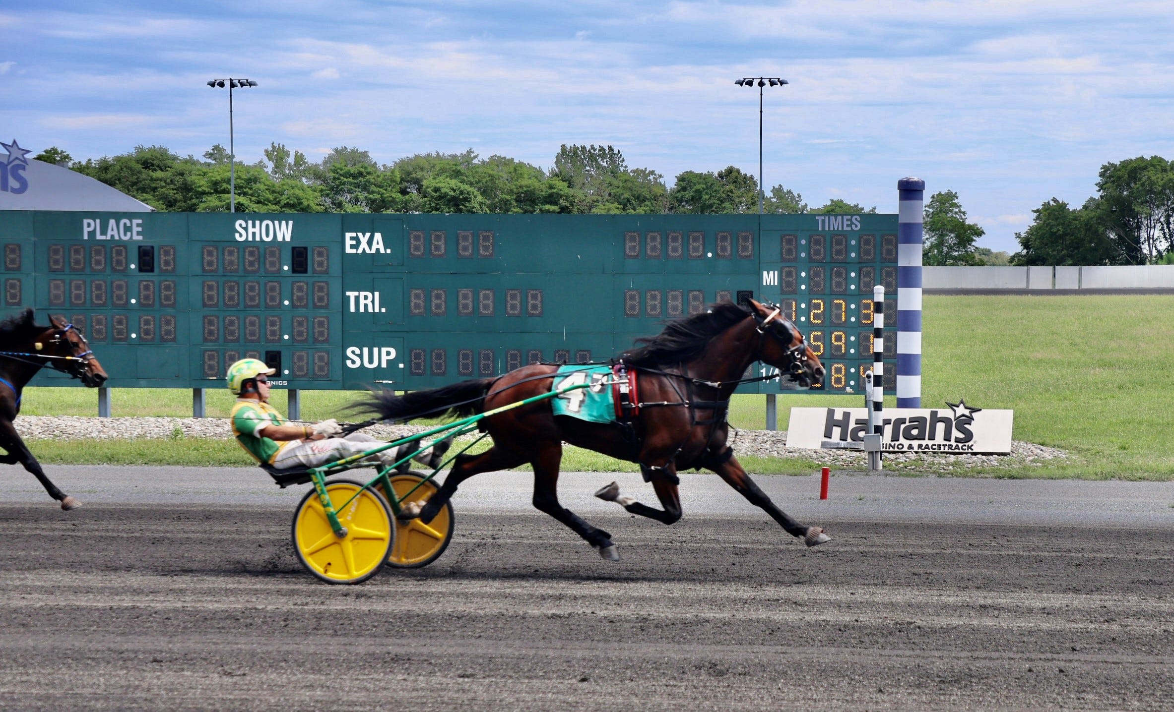 Harness Campbell with Greenshoesired Hambletonian hopefuls for 2024